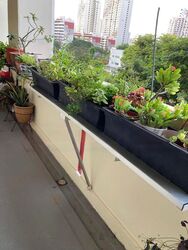 Blk 91 Toa Payoh Palm Spring (Toa Payoh), HDB 3 Rooms #479923071